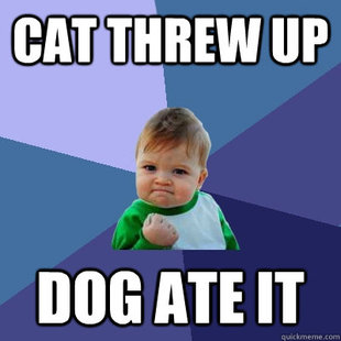 Success Kid