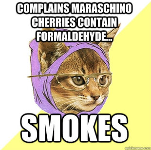 Hipster Kitty