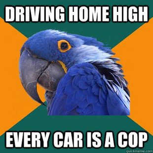 Paranoid Parrot