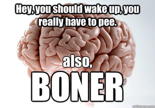 Scumbag Brain