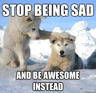 Caring Husky
