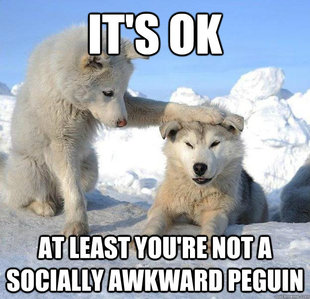 Caring Husky