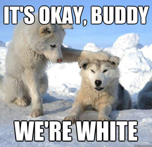 Caring Husky