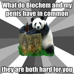 Pickup-Line Panda