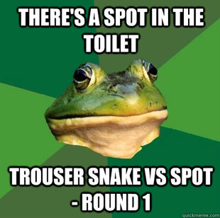 Foul Bachelor Frog