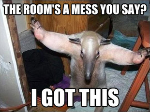 I got this