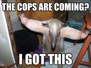 I got this