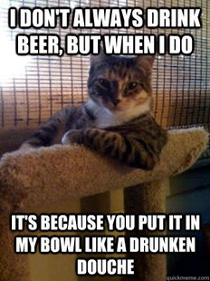 The Most Interesting Cat in the World