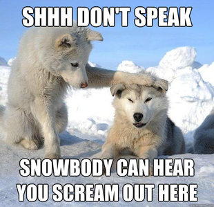 Caring Husky