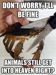 Optimistic Crab