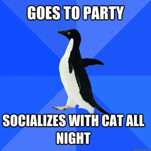 Socially Awkward Penguin
