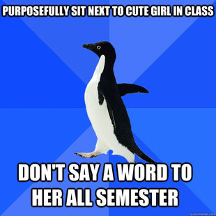 Socially Awkward Penguin