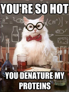 Chemistry Cat