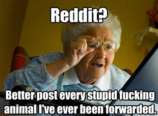 Grandma finds the Internet