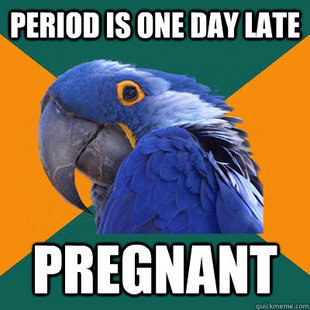 Paranoid Parrot