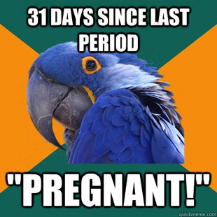 Paranoid Parrot