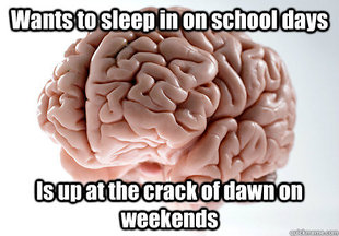 Scumbag Brain