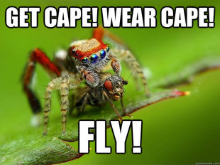 spider and a fly
