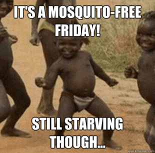 Third World Success