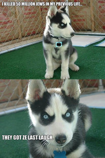 Insanity puppy