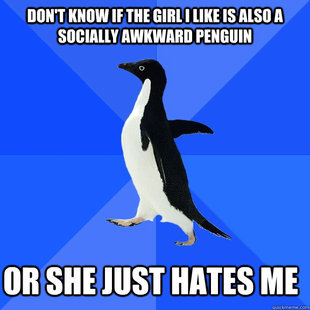 Socially Awkward Penguin