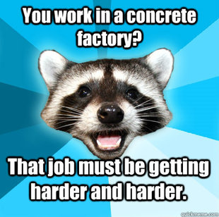 Lame Pun Coon