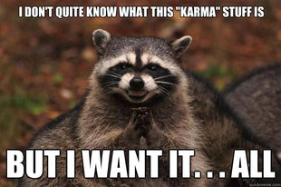 Evil Plotting Raccoon