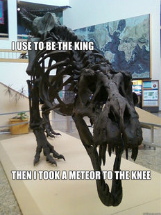 dino bones
