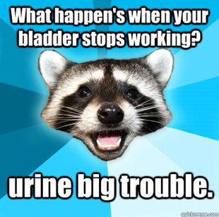 Lame Pun Coon
