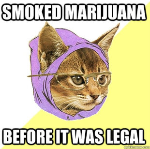 Hipster Kitty