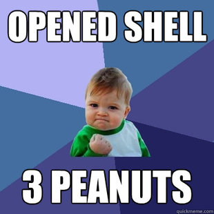 Success Kid