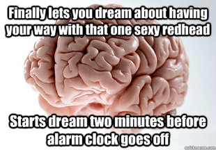 Scumbag Brain