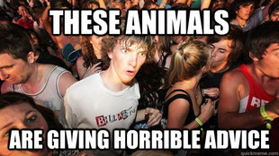 Sudden Clarity Clarence