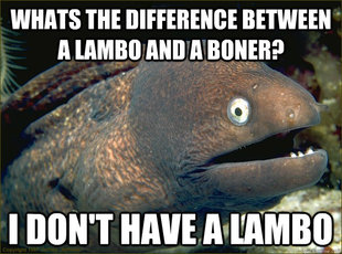 Bad Joke Eel