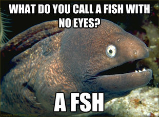 Bad Joke Eel