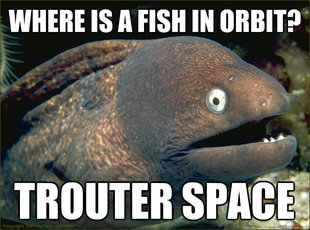 Bad Joke Eel