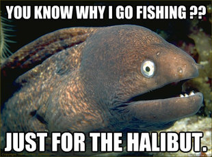 Bad Joke Eel