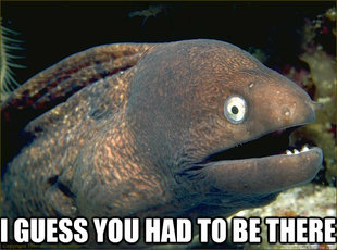 Bad Joke Eel