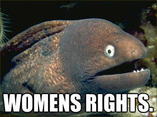 Bad Joke Eel
