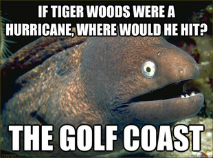 Bad Joke Eel
