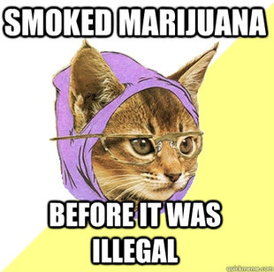 Hipster Kitty