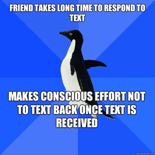 Socially Awkward Penguin