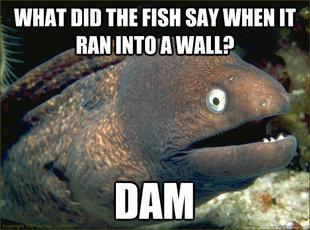 Bad Joke Eel