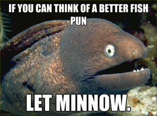 Bad Joke Eel