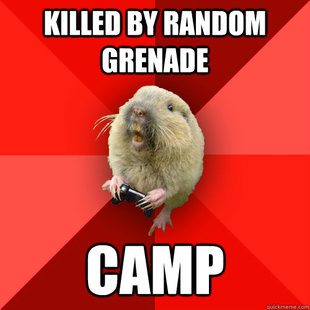 Gaming Gopher