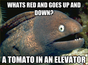 Bad Joke Eel