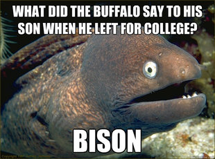 Bad Joke Eel