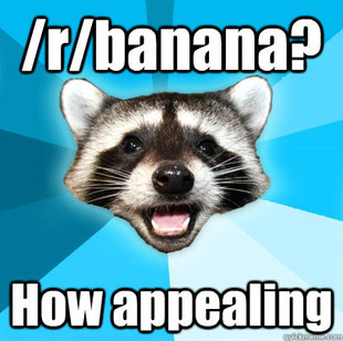 Lame Pun Coon