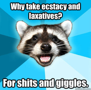 Lame Pun Coon