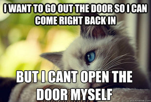 First World Cat Problems